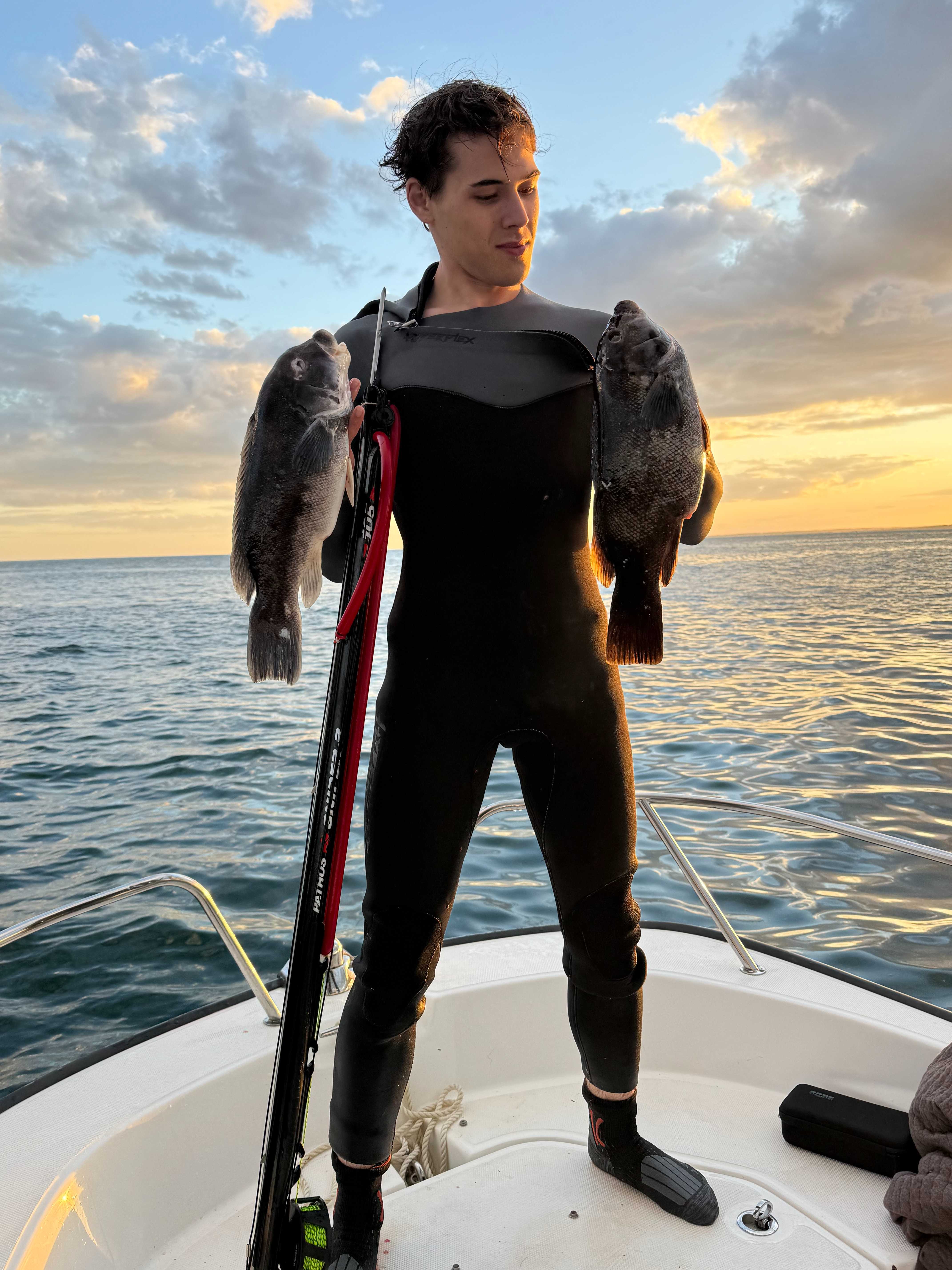 Diver with two tautog and speargun at sunset